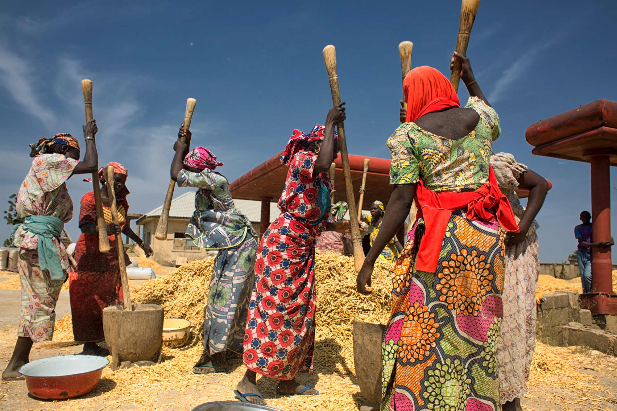 Mujeres separando el grano de las vainas secas